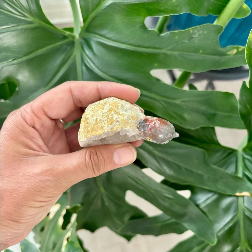 Dolphin figurine ~ Soapstone & Quartz Geode